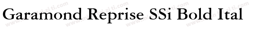 Garamond Reprise SSi Bold Italic字体转换